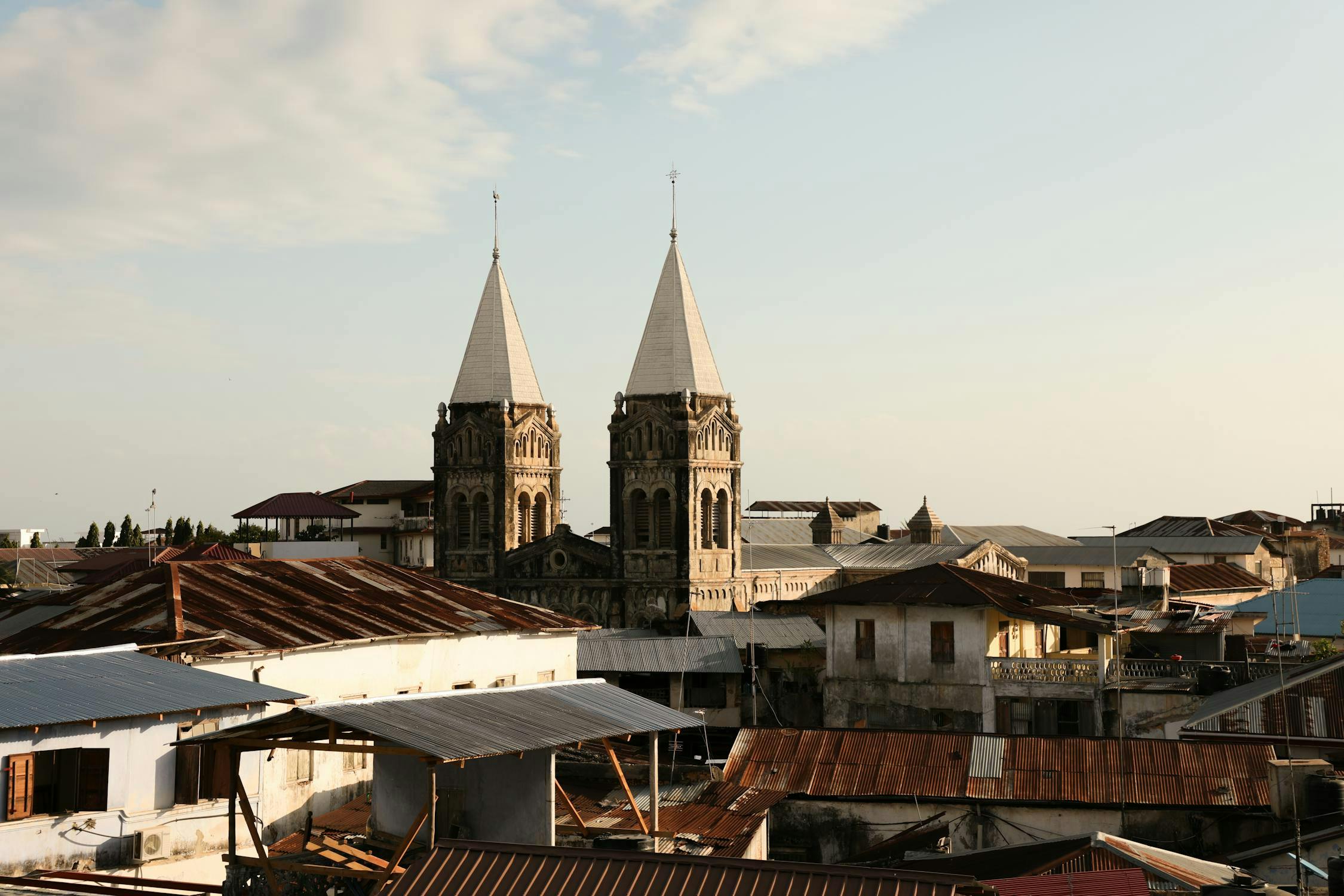 View of Zanzibar City